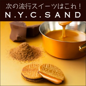 N.Y.C.S