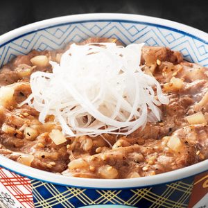 img_negishiogyukarubidon_560